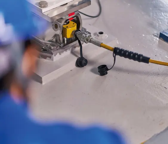 Microsep - Mettler Toledo Weighing Calibration Services
